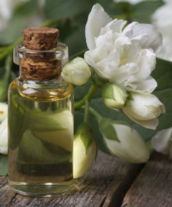 The Benefits of Jasmine Oil for Hair & Skin