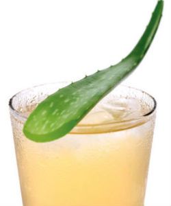Tip of the Day: Detangle With Aloe Vera