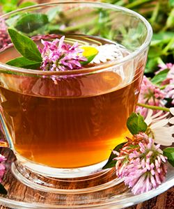 This Tea is Not Just Good for Menopause; It Could Help with Alopecia Too