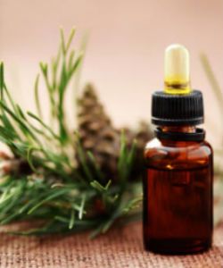 9 Reasons Rosemary Oil Is a Must