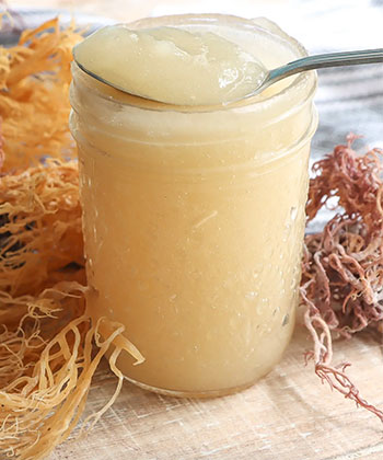 How to Make DIY Sea Moss Gel for All-Natural Slip