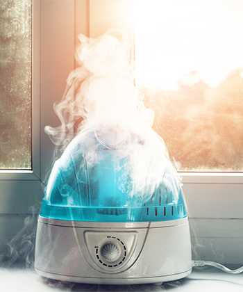 How My Humidifier Saves My Hair in Winter