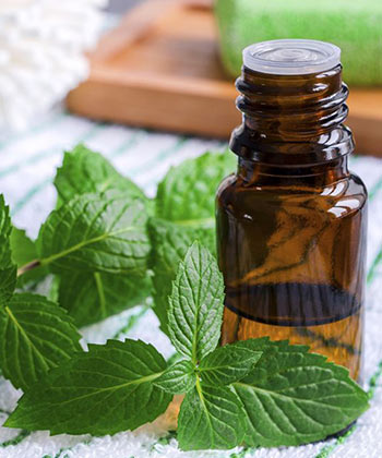 Why Peppermint Oil is a Powerhouse for Your Hair