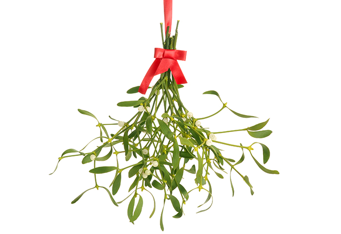 The Bunch of Health and Beauty Benefits in Mistletoe 